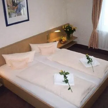 Otel Altmuehlberg & Restaurant 3*